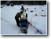 Dogsledding, Talkeetna, AK -- 2009